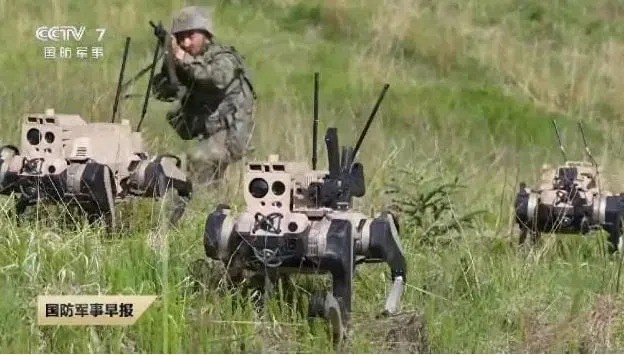 Robot Wolf Chinese UGV (B)